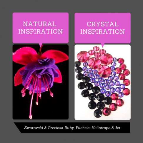 Natural Inspiration: Fuchsia Flower